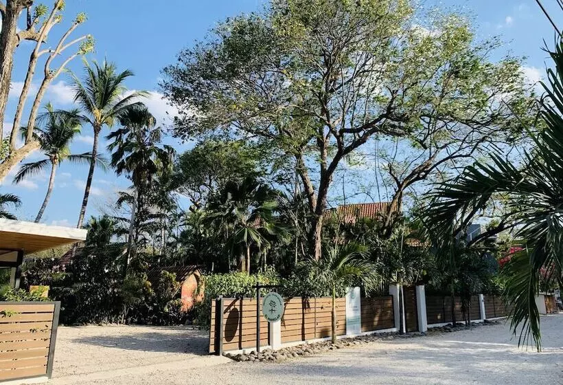 ホテル El Manglar