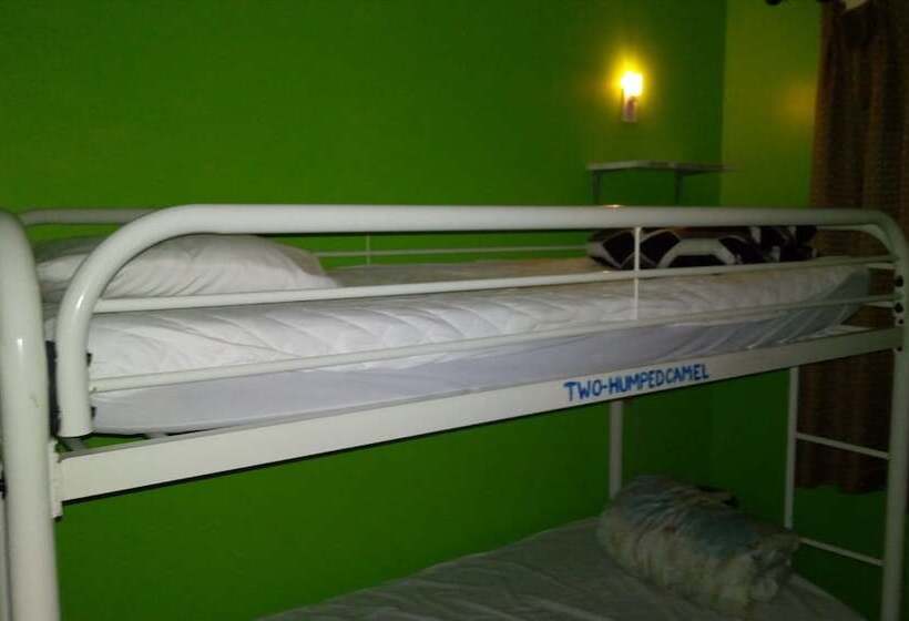 فندق Ottawa Backpackers Inn