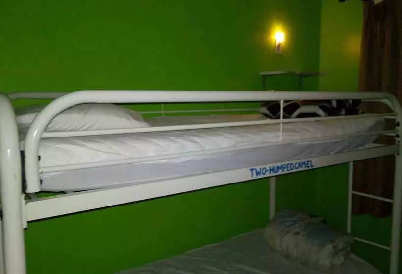 Hotelli Ottawa Backpackers Inn