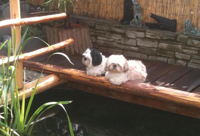 בית מלון כפרי Residence Priska