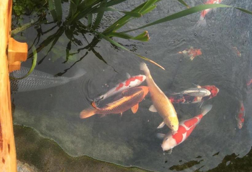 בית מלון כפרי Residence Priska