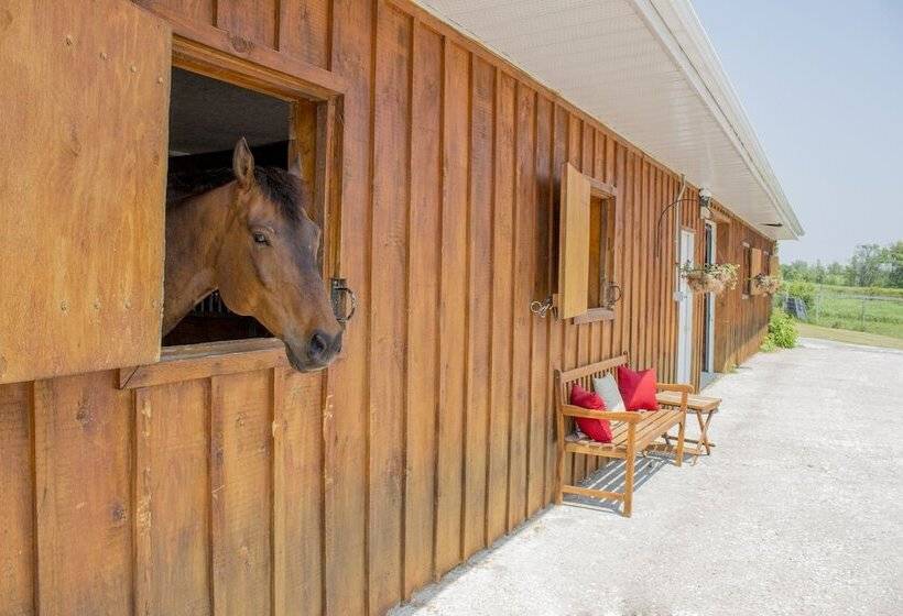 Hotel Ste. Anne's Spa