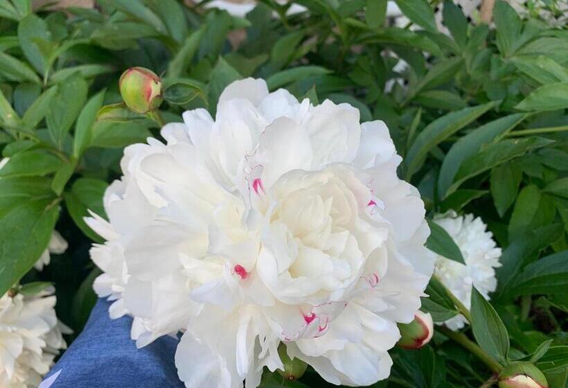 酒店 Strathaird Bed And Breakfast