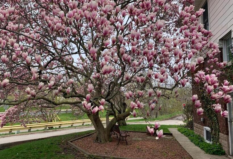 酒店 Strathaird Bed And Breakfast