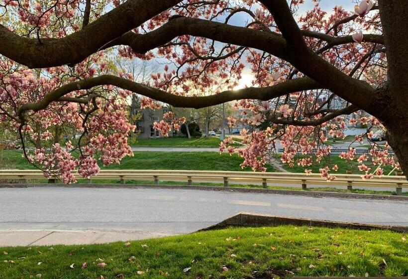 酒店 Strathaird Bed And Breakfast