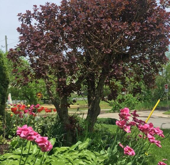 酒店 Strathaird Bed And Breakfast