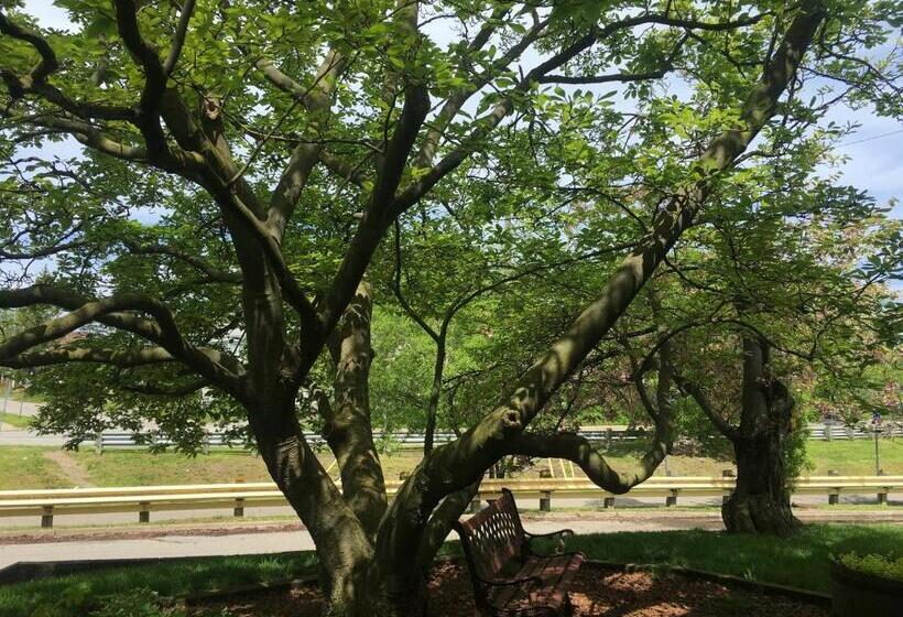 酒店 Strathaird Bed And Breakfast