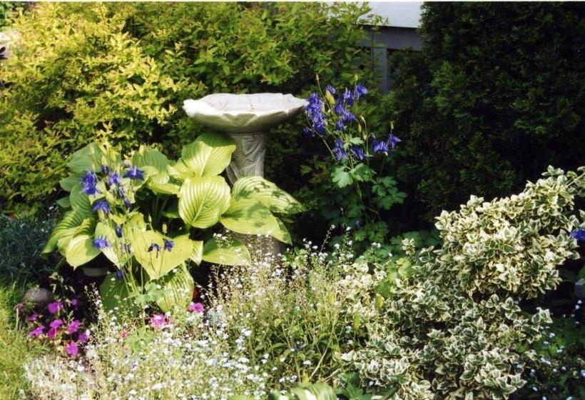 酒店 Strathaird Bed And Breakfast