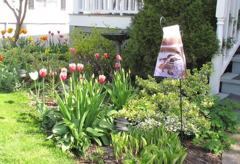 酒店 Strathaird Bed And Breakfast