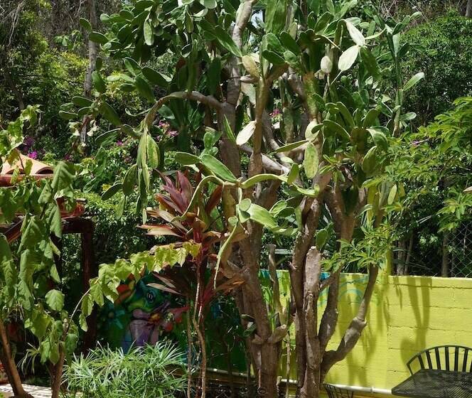 فندق Villa Zena Liza Art