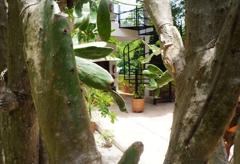 فندق Villa Zena Liza Art