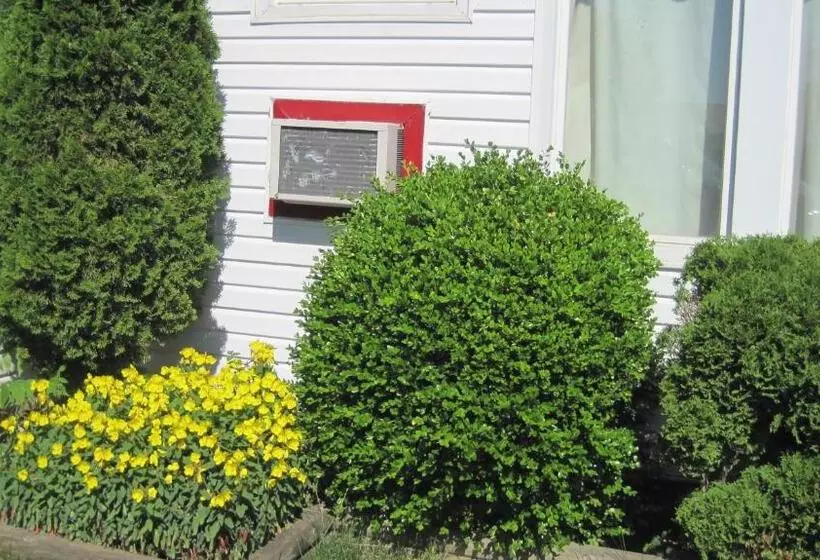 Rosecourt Motel