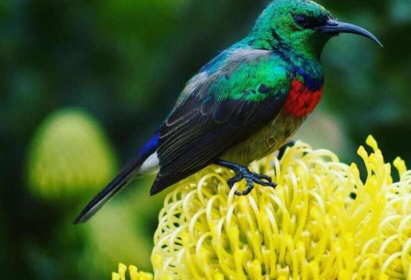 Hotel Meson De Las Flores