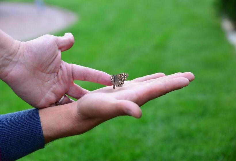 住宿加早餐  Pensiune Restaurant Flamingo