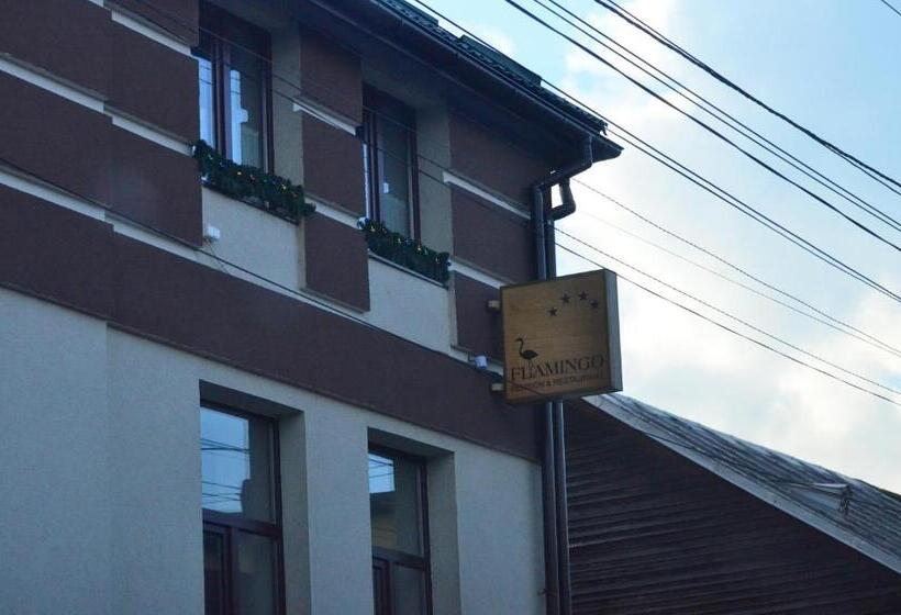 住宿加早餐  Pensiune Restaurant Flamingo