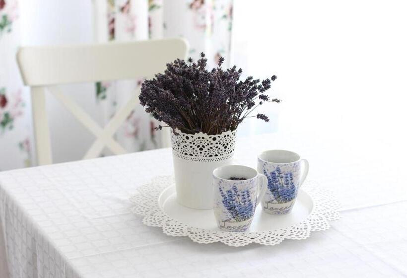 Bed and Breakfast Vila Meteor