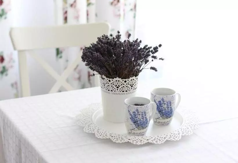 Bed and Breakfast Vila Meteor
