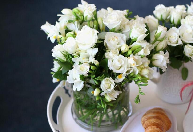 Bed and Breakfast Vila Meteor