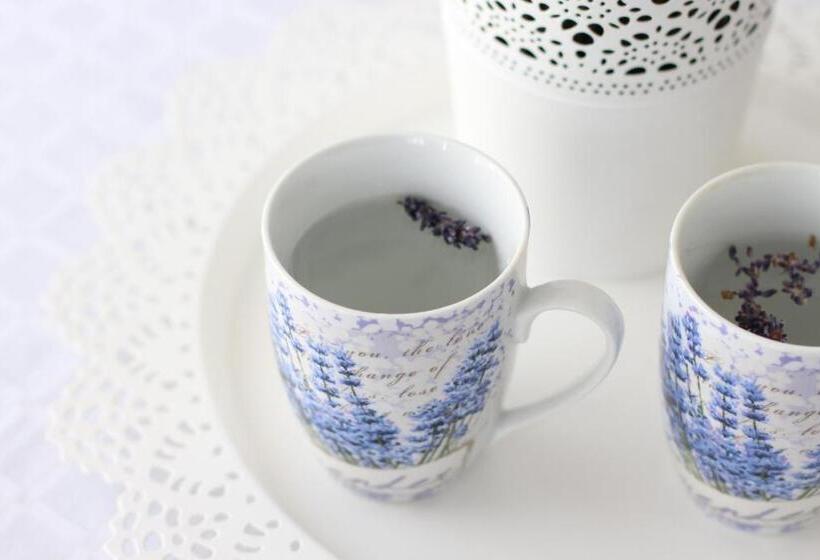 Bed and Breakfast Vila Meteor