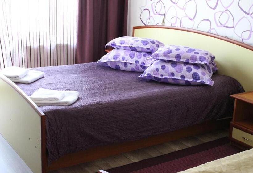 Bed and Breakfast Vila Meteor