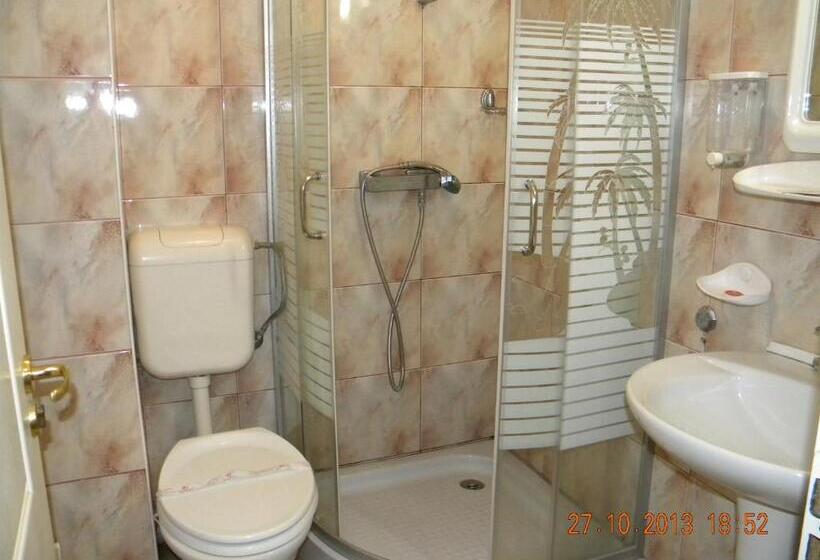 Bed and Breakfast Vila Meteor