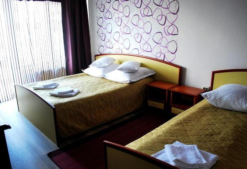 Bed and Breakfast Vila Meteor