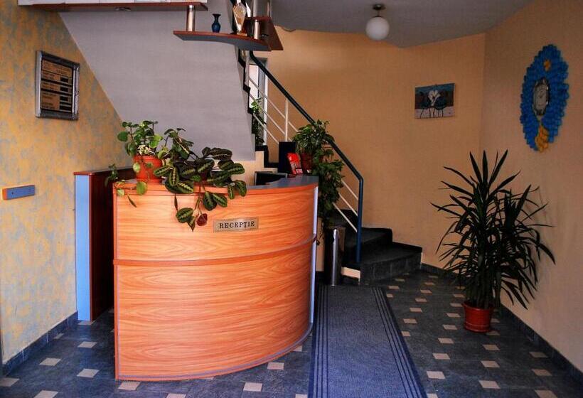 Bed and Breakfast Vila Meteor