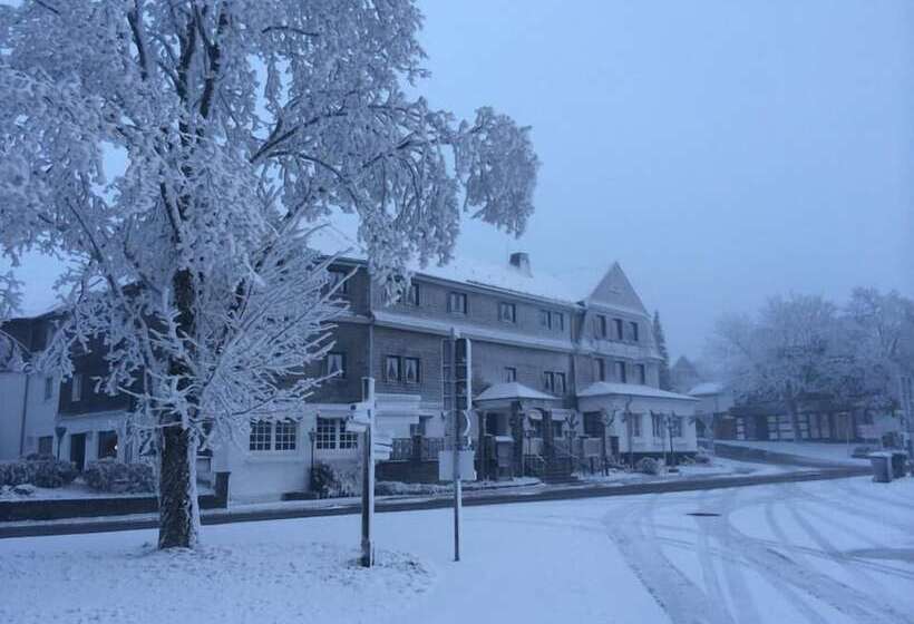 Отель Altastenberg