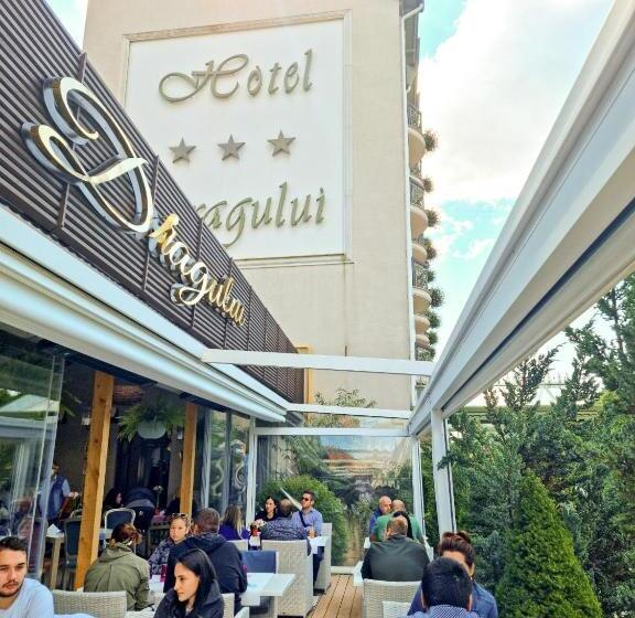 فندق Dragului