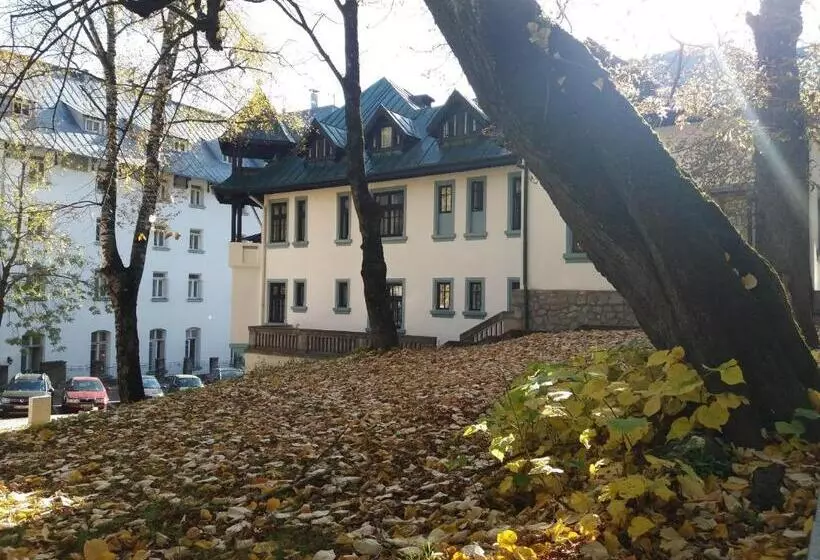 Hotelli Tantzi