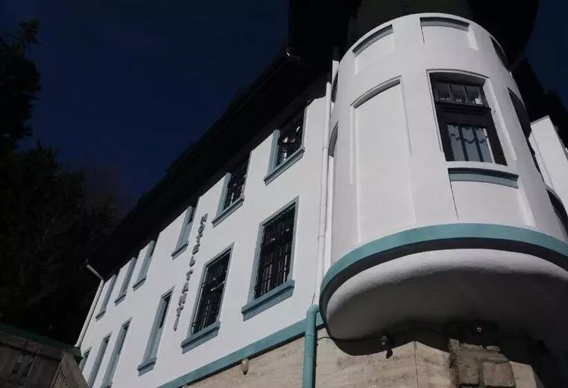 Hotelli Tantzi