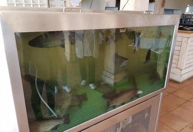 汽车旅馆 Han Paprika Tureni