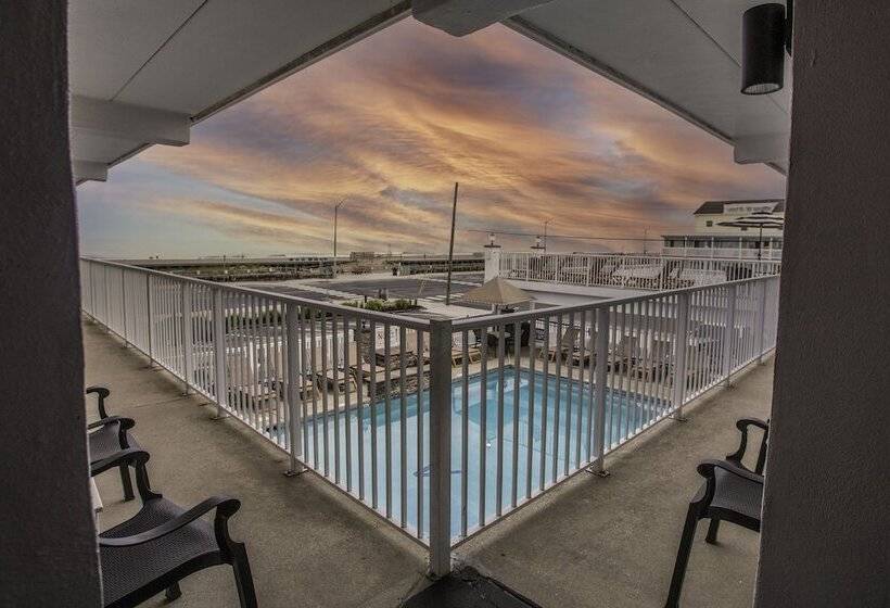 فندق Alante Oceanfront Motor