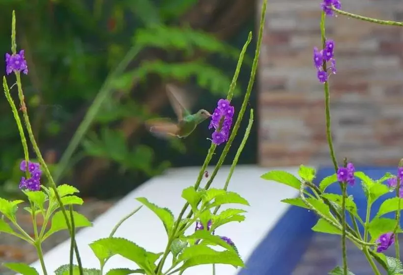 ベッドアンドブレックファースト Jardín De Los Monos