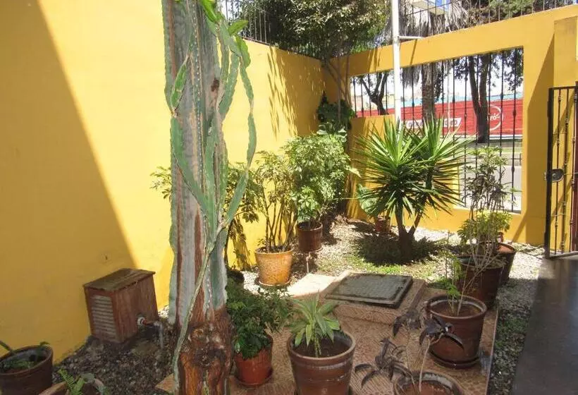 هتل Hostal Siglo 21