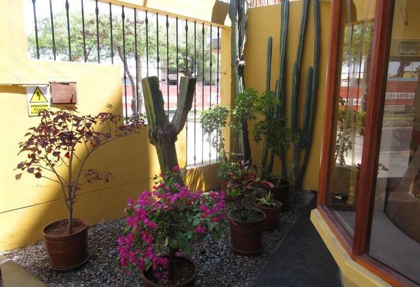 هتل Hostal Siglo 21