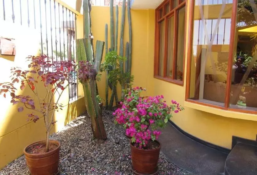 هتل Hostal Siglo 21