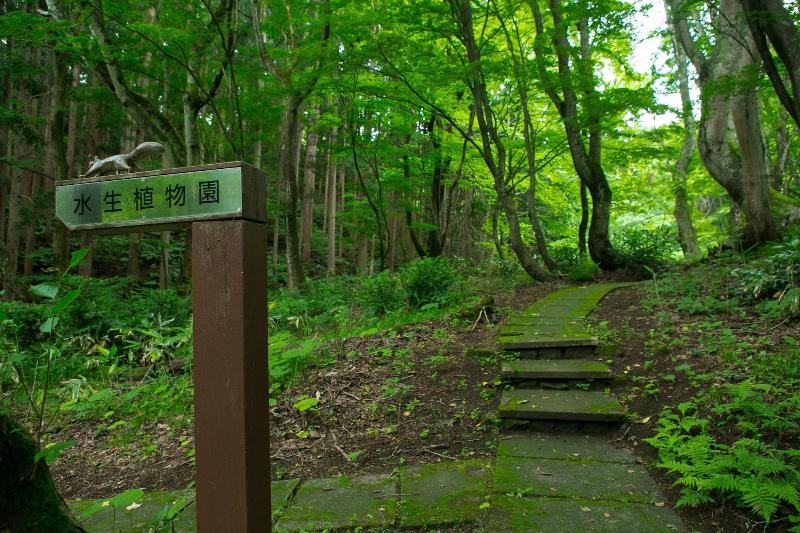 ריוקאן Inawashiro Shiki No Sato