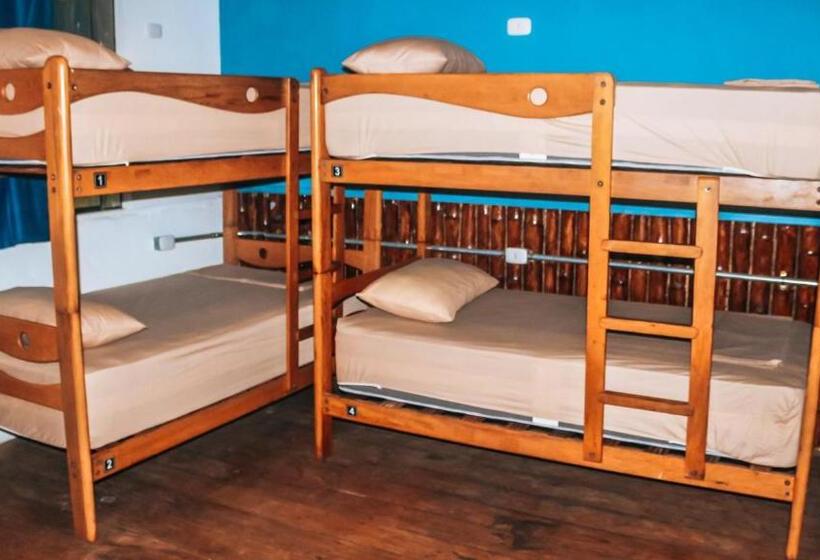 هاستل Wild Rover Beach Mancora