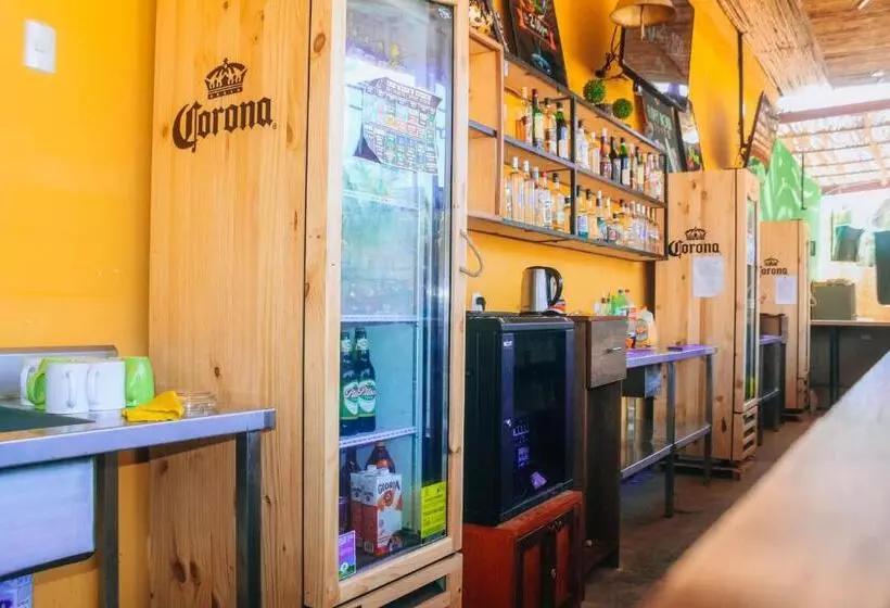 هاستل Wild Rover Beach Mancora