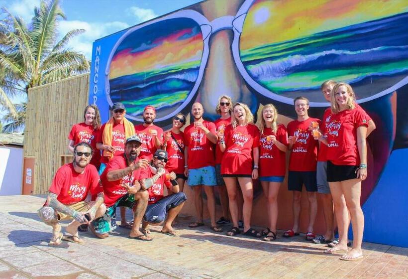 هاستل Wild Rover Beach Mancora