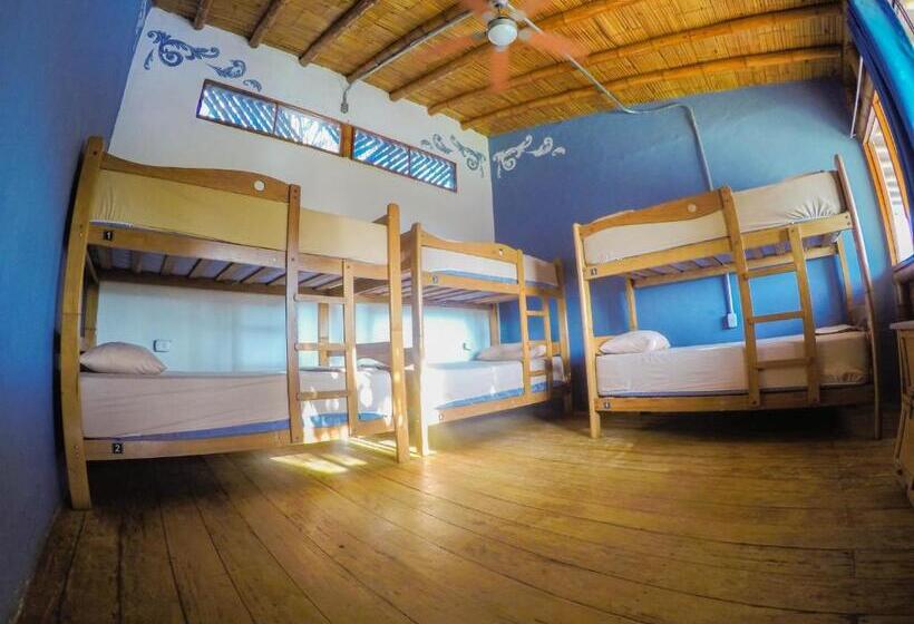 هاستل Wild Rover Beach Mancora