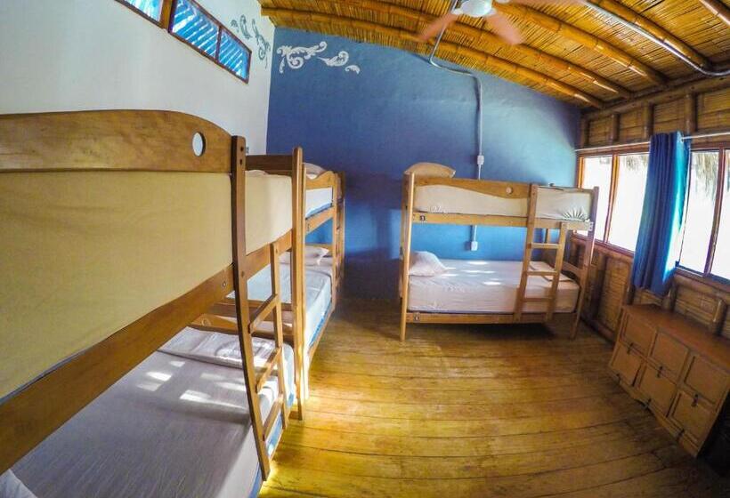 هاستل Wild Rover Beach Mancora