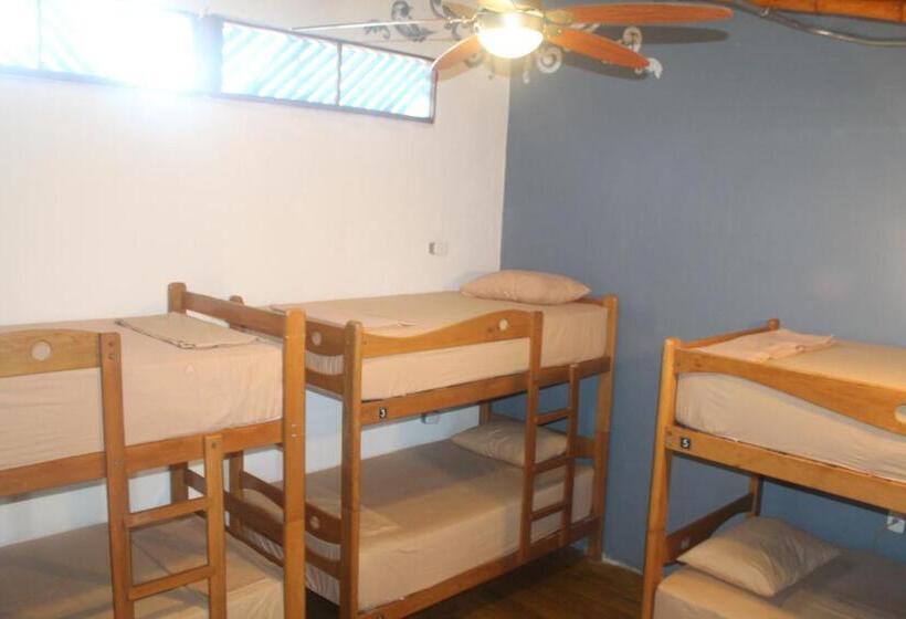 هاستل Wild Rover Beach Mancora