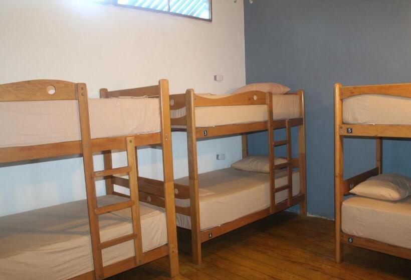 هاستل Wild Rover Beach Mancora