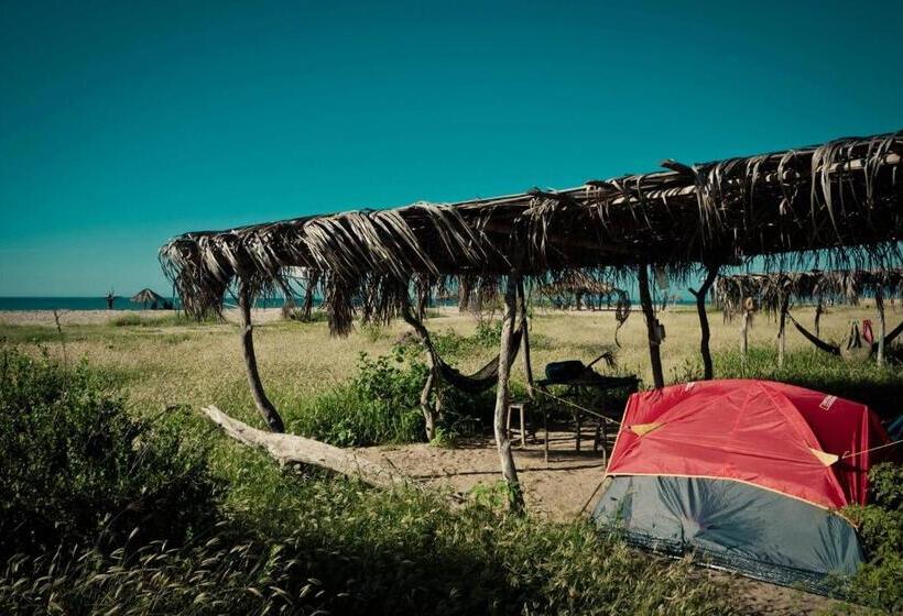 Grillo Tres Puntas Eco Hostel