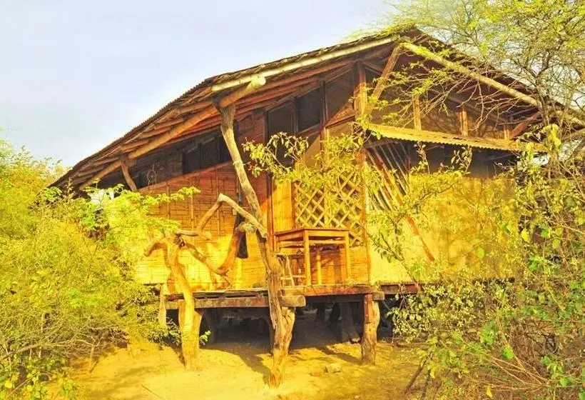 Grillo Tres Puntas Eco Hostel