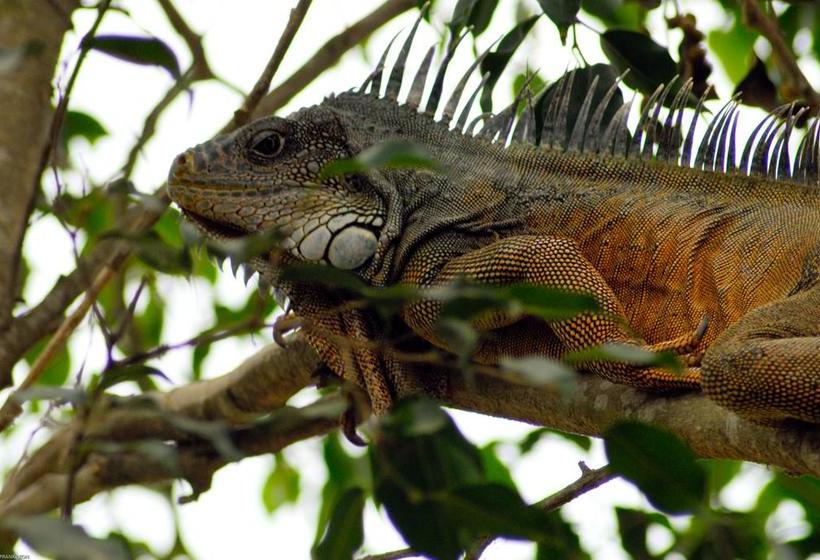 ホテル Hostería Mandála