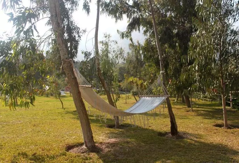 Hotelli Los Palomos