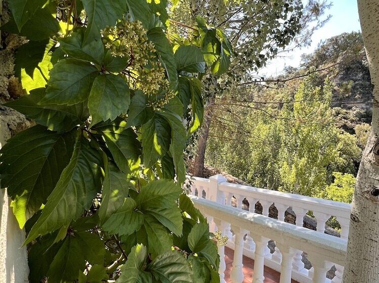 乡村酒店  Villa Ignacia B&b   Habitaciones Y Apartamentos En Plena Naturaleza